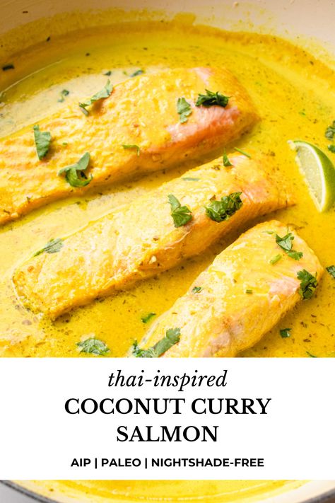 Aip Recipes Soup, Aip Thai Recipes, Aip Indian Recipes, Aip Seafood Recipes, Aip Fish Recipes, Aip Salmon Recipes, Auto Immune Protocol Diet, Aip Curry, Aip Recipes Dinner