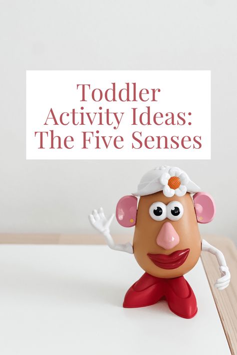 At-Home Preschool Activity Ideas for Toddlers: The Five Senses My Five Senses Activities For Toddlers, Senses Activities For Toddlers, Five Senses Activities For Toddlers, Five Senses Crafts For Preschool, Five Senses Activities, Activity Ideas For Toddlers, My Five Senses, Senses Activities, The Five Senses