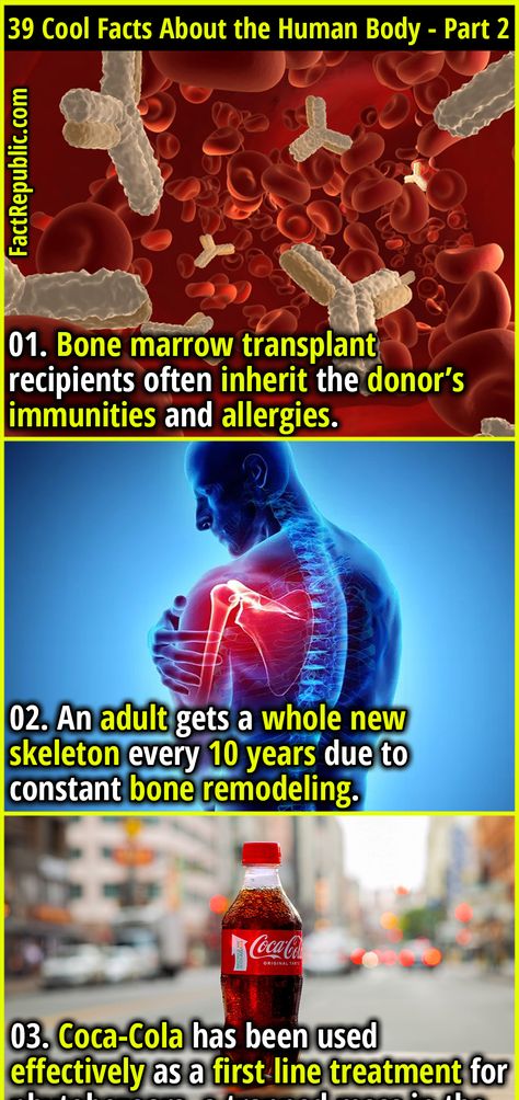 39 Cool Facts About the Human Body That’ll Just Blow Your Mind - Part 2 - Fact Republic Random Useless Facts, Terrifying Facts, Interesting Facts About Humans, Disturbing Facts, Science Facts Mind Blown, Fun Facts Mind Blown, Body Facts, Useless Knowledge, Human Body Facts