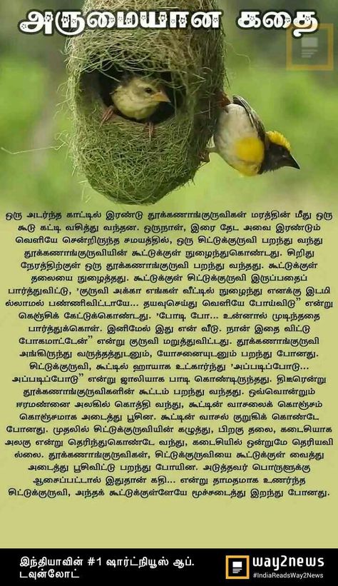 Moral Stories For Kids In Tamil, Moral Stories In Tamil, Pretty Flower Names, Motivational Stories In Tamil, Tamil Story, Small Stories For Kids, Motivational Short Stories, Tamil Stories, Quotes Tamil