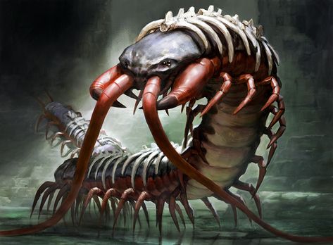 Spinal Centipede by Zezhou Ant Monster, Bug Art, Rpg Map, Dnd Monsters, Fantasy Beasts, Monster Concept Art, Arthropods, Insect Art, Fantasy Monster