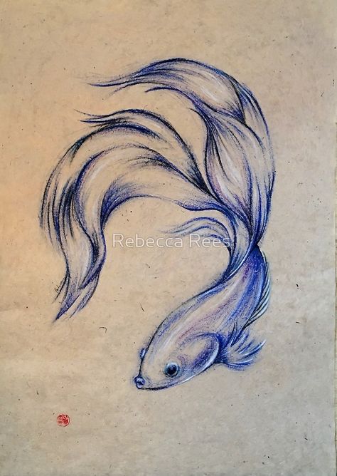 "Blue Angel - Siamese Fighting Fish Oil pastel on Paper Drawing" by Rebecca Rees | Redbubble Siamese Drawing, Experiment Drawing, Manga Drawings, Drawing Blue, Hantverk Diy, Fish Drawing, Angel Blue, Animal Drawing, Blue Angel