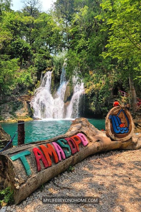 The most complete travel guide to Tamasopo Waterfalls in La Huasteca Potosina, Mexico Mexico Waterfalls, Mexico Nature, Mexico Restaurants, Mexico Beaches, Explore Mexico, Cliff Jumping, Mexico Culture, Natural Swimming Pools, Mexico Resorts