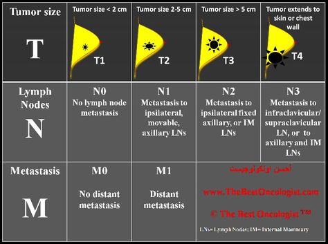 Tumor Staging Nursing Study Tips, Med Surg Nursing, Oncology Nursing, Med Surg, Health Information, Nursing Study, Nursing Education, Nurse Life, Healthy Happy