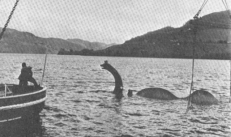 Loch Ness Monster Sightings, Boat Wake, Film Props, Sea Monster, Loch Ness Monster, Loch Ness, Lake Water, Sea Monsters, Monster Hunter