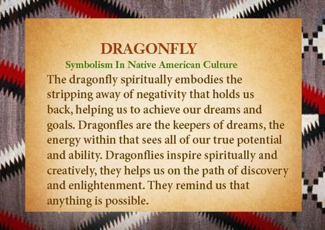 The Spiritual Significance of the Dragonfly: Do You See Them Often? Pinned by wootandhammy.com ♥️ thoughtful jewelry. Dragonfly Symbolism, Dragonfly Quotes, Dragonfly Dreams, A Course In Miracles, Dragonfly Art, Dragonfly Tattoo, After Life, American Culture, Native American Culture