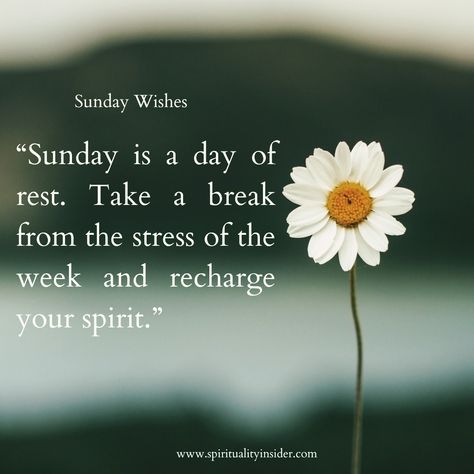 Sunshine on my face, pancakes on my plate, and a whole day to recharge ☀️ Wishing you a freakin' fantastic Sunday filled with laughter, relaxation, and whatever makes your soul happy! ✨ #SundayFunday #GoodVibesOnly #RechargeDay #blessedsundaymorning😇 #sundaywishesforyou #sundaymorningwishes #wishesforlovedones #sundayblessingsimages Sunday Morning Wishes, Blessed Sunday Morning, Soul Sunday, Good Morning Sunshine Quotes, Sunshine Quotes, My Plate, Good Morning Sunshine, Wishes For You, Sunday Funday