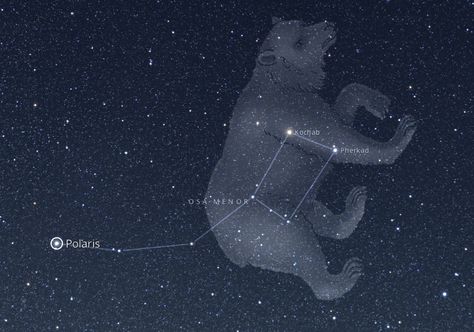 Constelación Osa Menor, en la cola la estrella Polaris o estrella del norte, la que siempre brilla. Ursa Minor, Healing Journaling, Constellation Tattoos, Anime Best Friends, Astronomy, Constellations, Art Lessons, Cosmos, Astrology