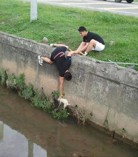 Lode A Dio, Helping Animals, Human Kindness, Faith In Humanity Restored, Everyday Heroes, Humanity Restored, 웃긴 사진, Skateboarder, Cat Rescue