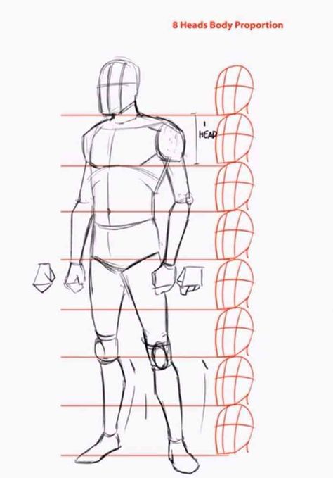 Draw A Person, Drawing Body Proportions, Drawing Proportions, Human Body Drawing, Easy Drawing Steps, Drawing Eyes, Drawing Hair, Human Anatomy Drawing, Body Sketches