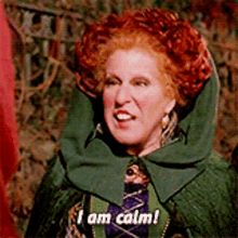 Hocus Pocus GIFs | Tenor Hocus Pocus Gif, Hocus Pocus Movie, Kenny Ortega, Bette Midler, Mental Training, Halloween Movies, Animated Images, Disney Kids, Calm Down