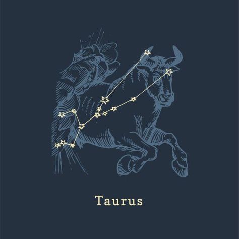 Taurus Symbol Aesthetic, Star Sign Illustration, Taurus Constellation Wallpaper, Zodiac Taurus Art, Taurus Zodiac Sign Symbol, Taurus Illustration, Taurus Star Constellation, Taurus Zodiac Constellation, Zodiac Constellation Art