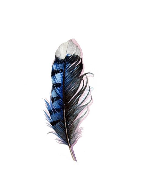 Magpie Feather Tattoo, Blue Jay Tattoo, Blue Jay Feather, Tattoo Feather, Jay Feather, Feather Drawing, Watercolor Feather, Trendy Tattoo, Arrow Tattoos