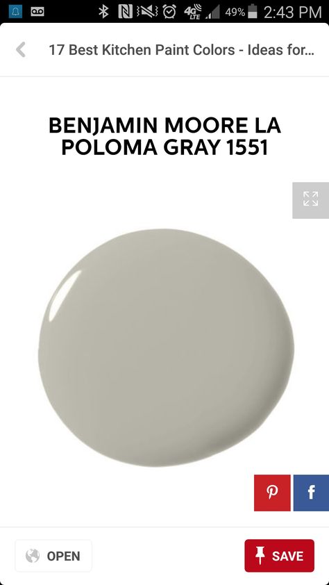 Benjamin Moore La Paloma Gray 1551 La Paloma Gray Benjamin Moore, Benjamin Moore Exterior, Living Walls, Exterior Paint Color, Kitchen Paint Colors, Room Color Schemes, Outdoor Paint, House Paint Exterior, Exterior Paint Colors