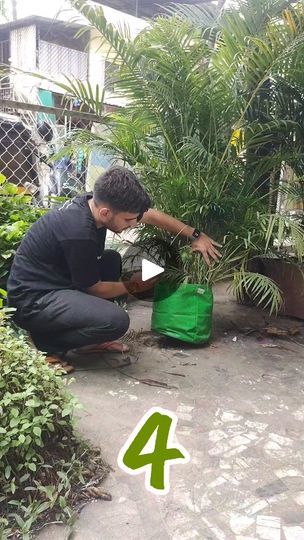 Mere Mehboob, Liquid Fertilizer, Organic Fertilizer, Farm Gardens, Organic Gardening, Gardening Tips, Soil, Plants, Instagram