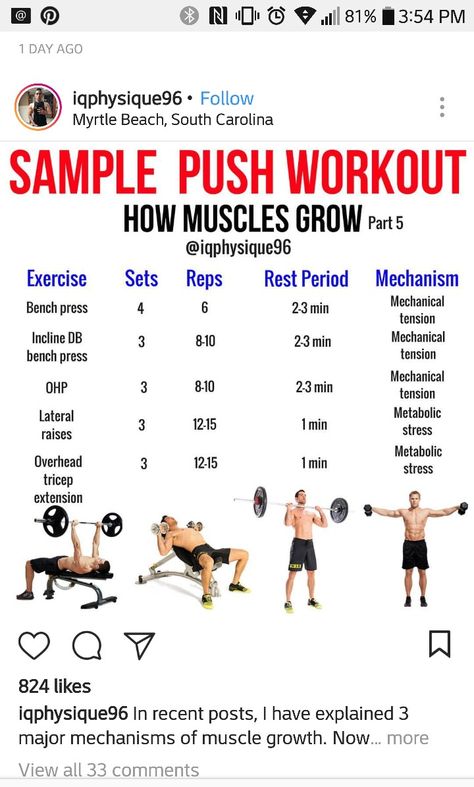 Push Workout, Gym Quote, Gym Workout For Beginners, Bench Press, Workout For Beginners, Body Health, Myrtle Beach, Gym Workout, Gym Workouts