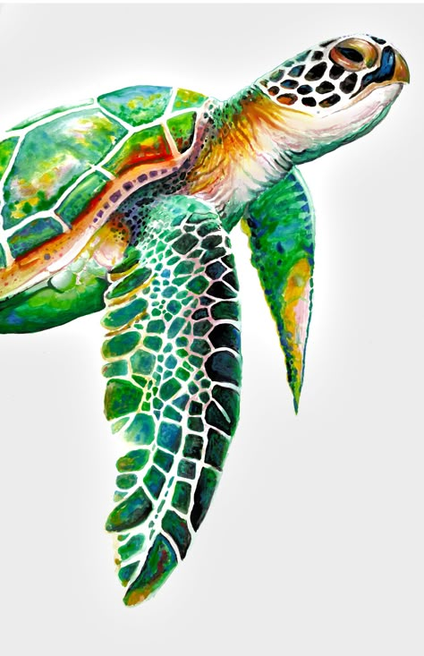 11X17 high quality print that is hand signed by the artist. This print is an exact copy of the original art, created with watercolor, acrylic paint, and colored pencils. Turtle Painting Acrylic, Watercolour Turtle, Painted Turtles, Carved Gourds, Sea Turtle Watercolor, Jellyfish Decorations, Sea Turtle Painting, Turtle Watercolor, Baby Sea Turtles