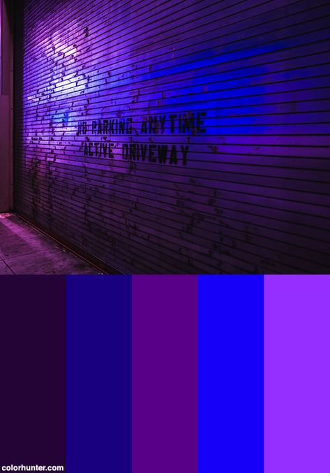 Nightclub Color Palette, Rave Color Palette, Cyberpunk Color Scheme, Cyberpunk Colors Palette, Rave Colour Palette, Scifi Colour Palette, Cyberpunk Color Palette, Futuristic Color Palette, Scifi Color Pallete