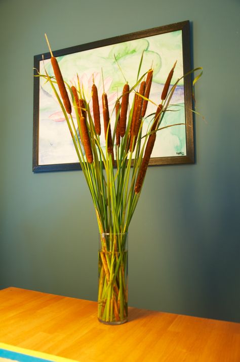 Cat Tails Plant, Wild Game Dinner Decorations, Wild Game Dinner, Swamp Party, Gala Decor, Gala Decorations, Brown Theme, Cat Tails, Fall Cats