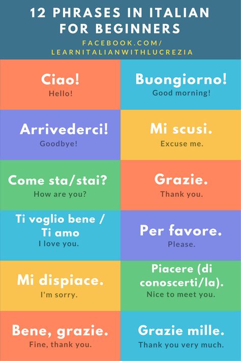 Basic Italian Phrases, Italian For Beginners, Basic Italian, Phrase Tattoos, Phrases And Sentences, Learn Italian, Italian Phrases, Italian Words, Learning Italian