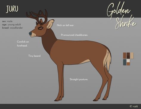 Golden Shrike, Fairytale Creatures, Deer Drawing, Deer Illustration, Animated Animals, Deer Art, Anime Animals, Animals Artwork, Creature Concept Art