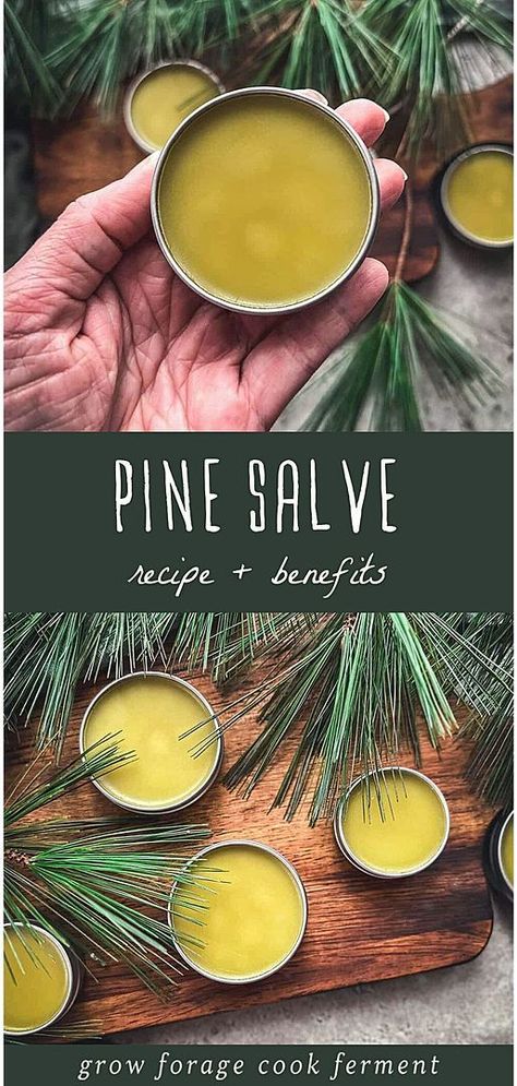 Discover how to make your own Pine Needle Salve, a gem in our Pine Needle Recipes & Wild Food Foraging collection at growforagecookferment.com. This salve, perfect for winter, helps soothe and heal dry, cracked skin while offering the invigorating aroma of a pine forest. Made from pine infused oil, it's a simple, effective herbal remedy that also provides aromatherapy benefits, ideal for moisturizing dry hands and lips. Find more Medicinal Weeds, DIY Natural Products, and DIY Beauty Recipes. Pine Oil Diy, Winter Herbal Remedies, Infused Oils Diy, Pine Salve, Medicinal Herbs Remedies, Medicinal Weeds, Diy Spa Treatments, Food Foraging, Wild Food Foraging