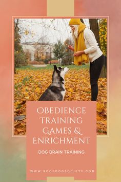 Enrichment Dog, Diy Dog Training, Dog Enrichment Ideas, Aggressive Dog Breeds, Vegetarian Christmas Recipes, Living Room Decor Tips, Dog Obedience Training, Training At Home, Cool Games To Play