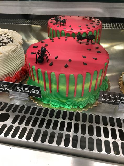 Watermelon Drip Cake, Summer Cakes Decorations, Cute Summer Cakes, Easy Summer Cake Decorating Ideas, Fun Summer Cake Ideas, Summery Cake Decorating, Summer Cake Ideas Decorating, Watermelon Cupcake Cake, Watermelon Cake Design