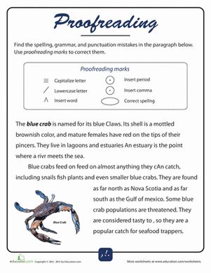 Fifth Grade Grammar Punctuation Worksheets: Proofreading Practice #3 Worksheet Easy Essay, 5th Grade Writing, Theme List, College Admission Essay, College Application Essay, Best Essay Writing Service, Grammar And Punctuation, Grammar Practice, Writer's Workshop