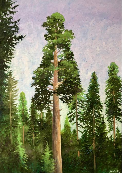 Landscape Oil Paintings Mountain, Giant Sequoia Trees, Tree Oil Painting, Pine Tree Painting, Giant Sequoia, National Park Art, Painting Forest, Sequoia Tree, Original Canvas Art