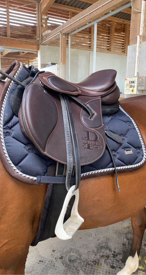 saddle: passier saddlepad: winderin & equestrian stockholm Saddlepad Horse, Jumping Saddle, Sport Horse, Sports Luxe, Show Jumping, Horse Tack, Matilda, Saddle Bags, Stockholm