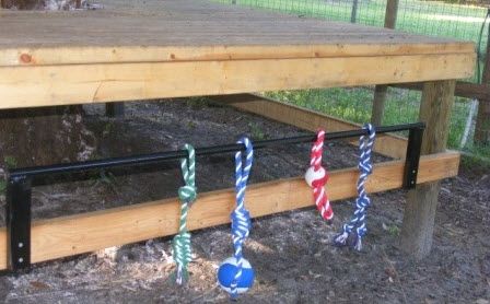 Goat Playground, Goat Toys, Keeping Goats, Goat Shelter, Goat Pen, Mini Goats, Show Goats, Goat House, Goat Care