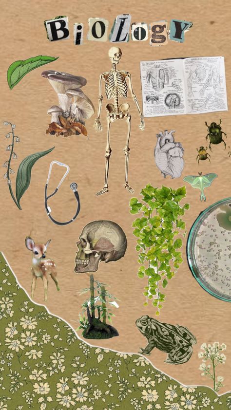 #Biology Biology Collage, Biology Posters, Biology Poster, Biology, Mood Boards, Scrapbook Paper, Mood Board, Collage, Quick Saves