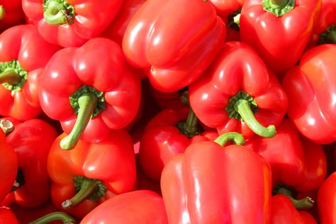 Recipe: Valentine Red Bell Pepper Dog Treats Different Fruits And Vegetables, Red Bell Peppers, Low Fat Yogurt, Different Fruits, Green Bell Peppers, Dog Treat Recipes, Red Bell Pepper, Farmer's Market, Bell Peppers