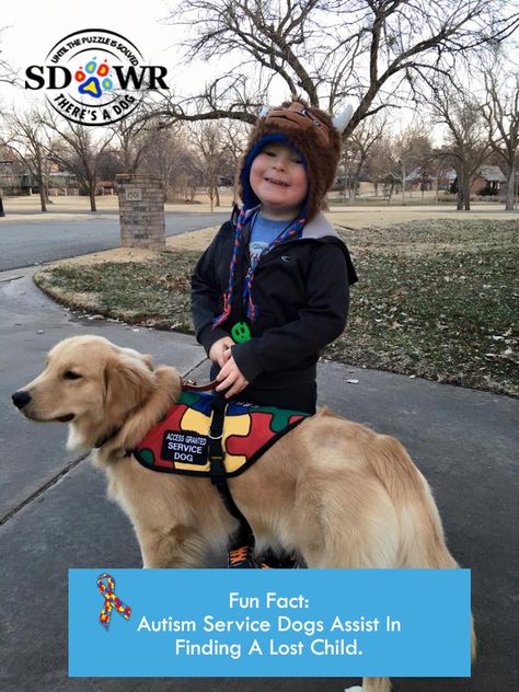 ‪#‎DidYouKnow‬ that SDWR can train ‪#‎AutismServiceDogs‬ to perform search and… Cute Service Dogs, Service Dogs At School, Assistance Dog Gear, Service Dogs At Disney World, Therapy Dog Training, Moving Mountains, Nature Healing, Human Animal, Service Dogs Gear