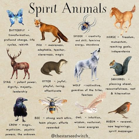 A L I C E ✨🌿 on Instagram: "Just a few animals mentioned here with some of their magical meanings. Many cultures around the world historically have connected with animals for guidance including ancient Egyptians, Celts, Hindus, indigenous Americans and Australians to name a few. If the term ‘spirit animal’ is uncomfortable you could refer to them as familiars, animal guides or just spirit guides. 🐞🐴🐰🦊🐬🪲🦄 Do you have a certain animal energy that you connect with? (Yours may not be on here Spirit Guide Animals, Animals Spiritual Meanings, Animals And Their Symbolism, Squirrel Spirit Animal Meaning, Animal Meanings Symbols, Animal Tattoos And Their Meanings, Zodiac Spirit Animals, Animals With Meaning, Leo Spirit Animal