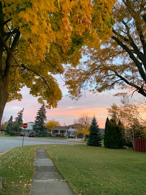 Pretty Neighborhood, Neighborhood Aesthetic, Home Styles Exterior, Fall Country, Yellow Leaves, Fall Aesthetic, Autumn Cozy, Autumn Aesthetic, Beautiful Places To Travel