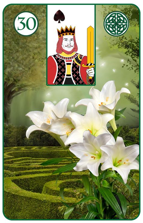 The Lily - The Gaelic Lenormand by Diana Clark Wicklow Mountains, Lenormand Cards, Irish Symbols, Symbol Of Peace, Easter Lily, Tarot Cards Art, Cards Art, Spiritual Teachers, Fortune Telling