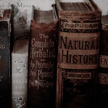 Herbalist Aesthetic Dark, Healer Aesthetic Harry Potter, Dark Herbalist Aesthetic, Healer Oc, Hedge Witch Aesthetic, High Elves Dnd, Forbidden History, Slytherin Vibes, Aesthetic Royal