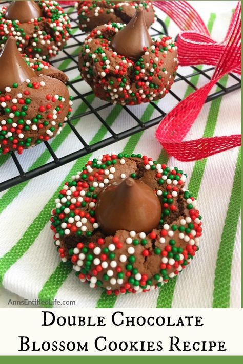 Chocolate Blossom Cookies, Blossom Cookies Recipe, Rainbow Cookies Recipe, Double Chocolate Cookies Recipe, Christmas Cookie Recipes Holiday, Traditional Christmas Cookies, Cute Christmas Cookies, Blossom Cookies, Holiday Cookie Exchange