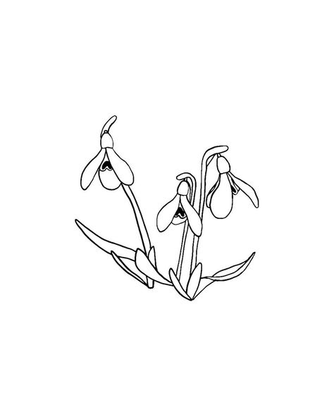 Scissors Drawing, Flower Line Drawing, Botanical Line Drawing, Line Drawing, Hand Embroidery, Line Art, Illustration Art, Art Drawings, Embroidery