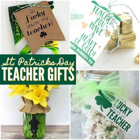 St. Patrick's Day Teacher Gift Ideas, St. Patrick's Day Teacher Gift Ideas DIY and Teacher Appreciation Gift Ideas for St. Patrick's Day. Add a little golden nugget to your favorite teacher's day with a St. Patrick's Day Teacher Gift! Appreciation Diy Gifts, Teacher Gift Ideas Diy, Teacher Appreciation Gift Ideas, Teacher Appreciation Diy, Appreciation Gift Ideas, Diy Teacher Christmas Gifts, Birthday Care Packages, Teacher Gift Ideas, Teacher Birthday Gifts