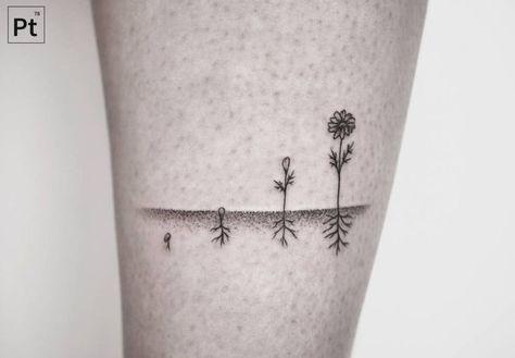 I love this tattoo to demonstrate growth! Gardening Tattoos For Women, Tattoos For Change, Root Tattoo Ideas, Flowers Growing Tattoo, Homestead Tattoo, Soil Tattoo, Roots Tattoo Ideas, Seedling Tattoo, Farming Tattoo