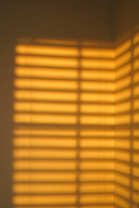 Warm Asthetic Photos, Sunset Light Aesthetic, Golden Hour Background, Blinds Shadow, Golden Hour Shadow, Studio Background Ideas, Sunset Shadow, Golden Hour Aesthetic, Light And Shadow Photography