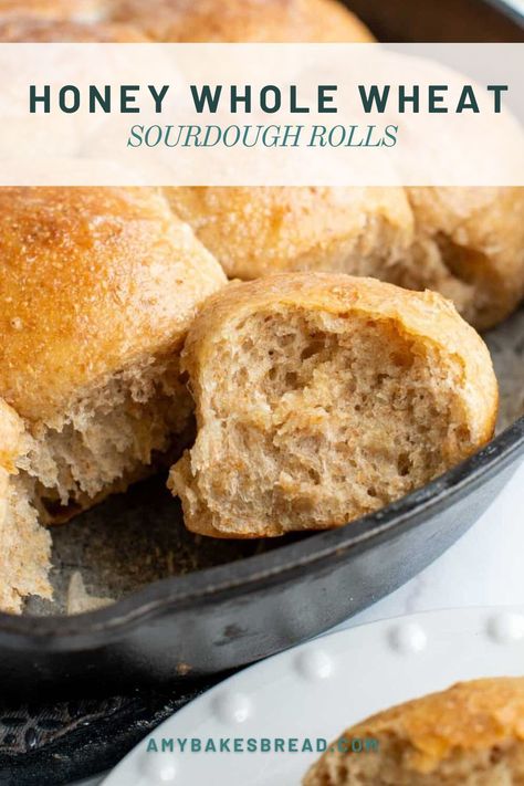 Everyone needs a delicious honey whole wheat sourdough roll recipe in their back pocket. Check these out and you won't be disappointed! Sourdough Honey Rolls, Sourdough Sweets, Sourdough Dinner, Wheat Rolls, Artisan Rolls, Sourdough Dinner Rolls, Whole Wheat Rolls, Bread Proofer, Sourdough Rolls