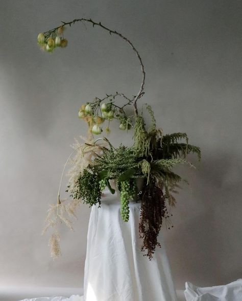 Dia Uno- Floral Studio (@diaunofloral) • Instagram photos and videos Wild Floral Arrangements, Botanical Display, Flower Structure, Linear Design, Floral Studio, Floral Inspiration, Flower Centerpieces, Floral Arrangement, Ikebana