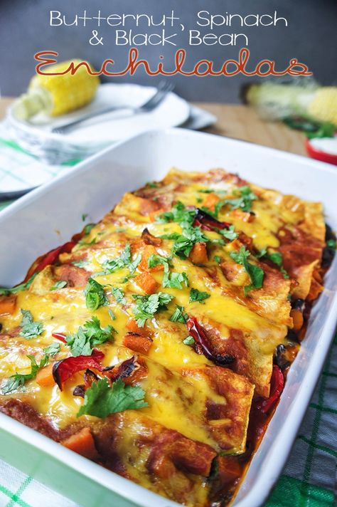 Butternut, Blackbean and Spinach Enchiladas{Vegetarian} Bean Enchiladas Vegetarian, Enchiladas Vegetarian, Squash Enchiladas, Butternut Squash Enchiladas, Spinach Enchiladas, Vitamins For Vegetarians, Black Bean Enchiladas, Vegetarian Enchiladas, Enchilada Casserole Recipes