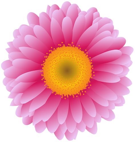 Flower clipart png