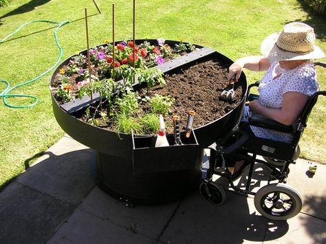 Horticulture Therapy, Herb Garden Planter, Raised Garden Bed Plans, Healing Garden, Sensory Garden, Veg Garden, School Garden, Community Gardening, Perennial Garden