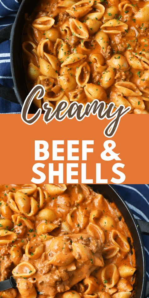 Creamy Beef And Shells, Beef And Shells, Shell Pasta Recipes, Hamburger Dishes, Cheese Stuffed Shells, Fruit Smoothie Recipes Healthy, Ground Beef Dishes, Stuffed Shells Recipe, Crockpot Recipes Beef